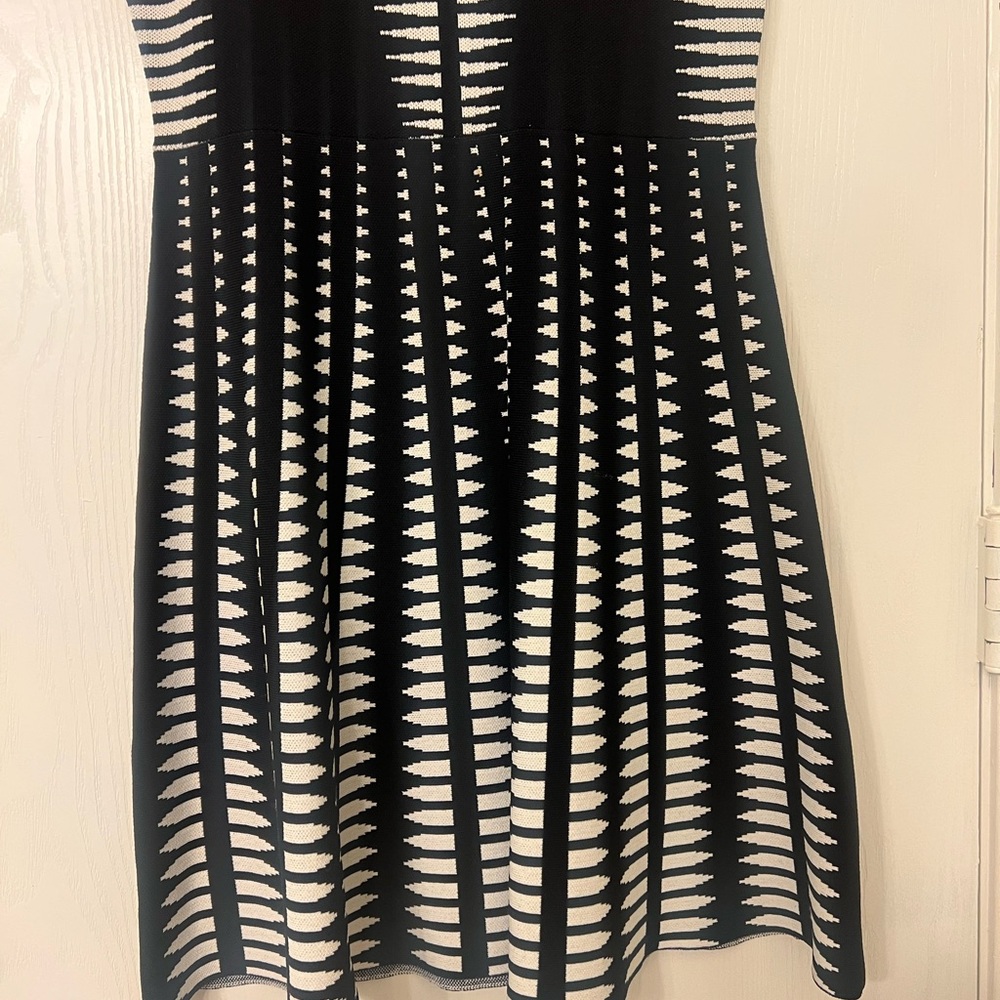 Zara Black and White Striped Midi Dress - Picture 8 of 10